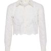 Wholesale Seychelle Lace Cropped Blouse Blouses & Tops